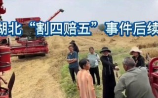 襄阳“割四赔五”风波升级多家派出所出手网红出面也无力扭转